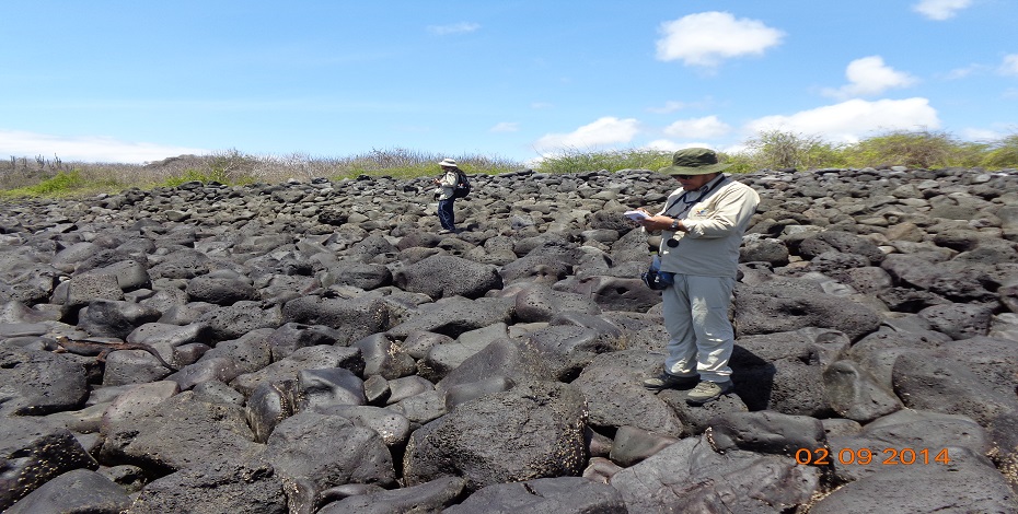 Conteo y registro de fauna. (Galápagos. 2014)